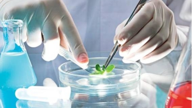 Grupo VW define América Latina como Centro de P&D de Biocombustíveis