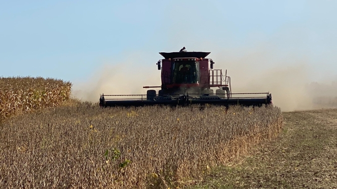 Colheita de soja em MT atinge 4,38% da área e segue atrasada, diz Imea