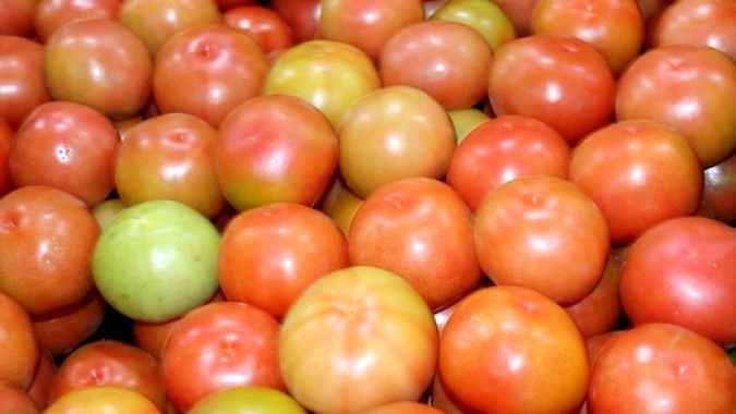 Tomate/Cepea: Preços no atacado paulistano fecham semana em alta