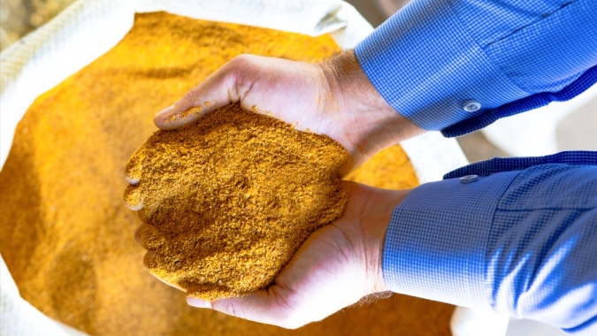 Alternativa importante para a pecuária, DDGS ganha ainda mais espaço no portfólio das biorrefinarias de milho do BR