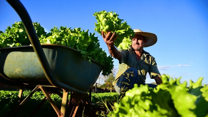O futuro climático do Brasil começa no hortifrúti