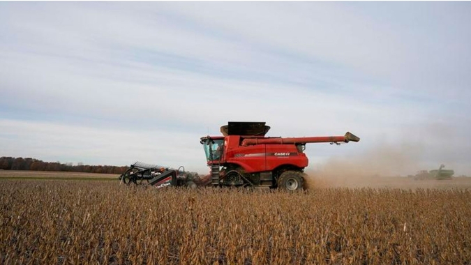 Colheita de soja atinge 59% da área plantada no Brasil, diz AgRural