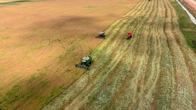 Já tem arroz sendo colhido no Brasil. Produtor na Ilha de Marajó/PA iniciou os trabalhos e espera colher 30 mil toneladas