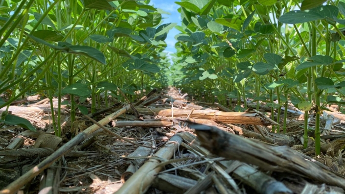 Aprosoja Brasil divulga carta dos produtores em defesa da soja sustentável