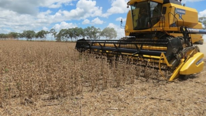 AgRural: Com tempo seco e quente no RS e Matopiba, colheita de soja vai a 70% no Brasil