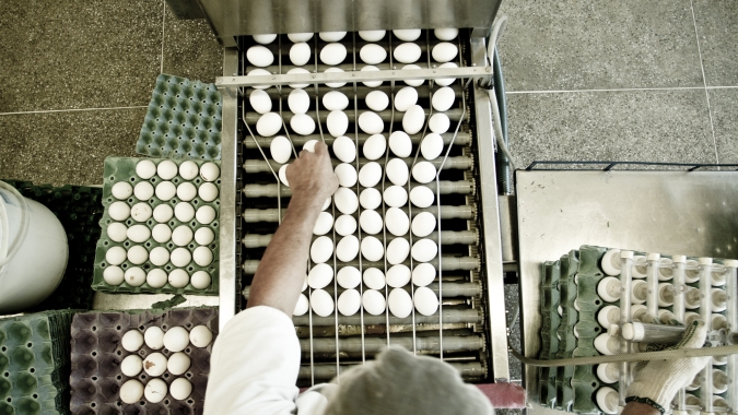 Países importadores de ovos comerciais até maio de 2021