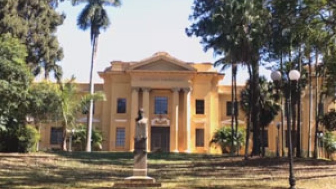 Pesquisadora do IAC é nomeada para ocupar a cadeira 77 da Associação Brasileira de Ciência Agronômica (ABCA)
