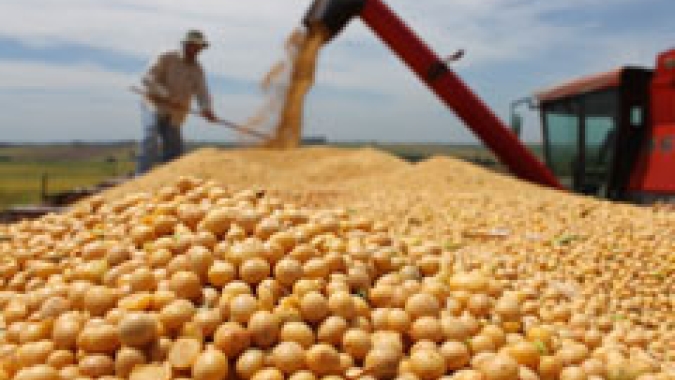 Produção de grãos deve crescer 36,8% nos próximos dez anos