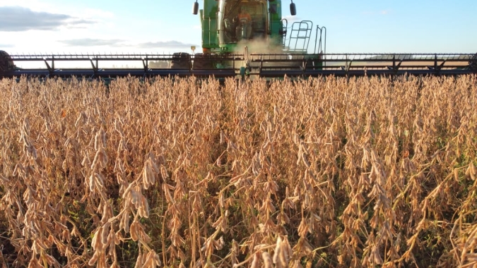 Agronegócio impulsionou a balança comercial brasileira em 2020