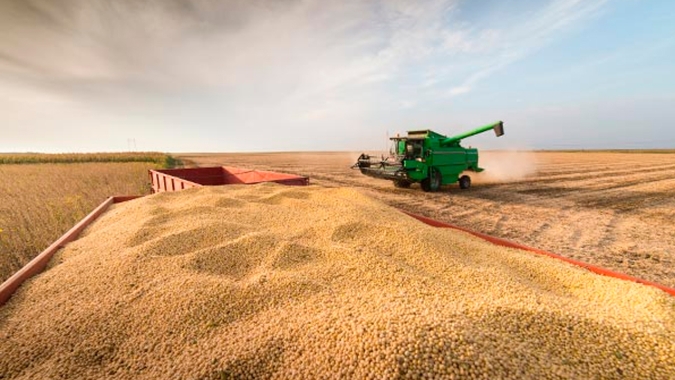 DATAGRO reduz safra de soja na América do Sul para 192,50 milhões de t em 2019/20