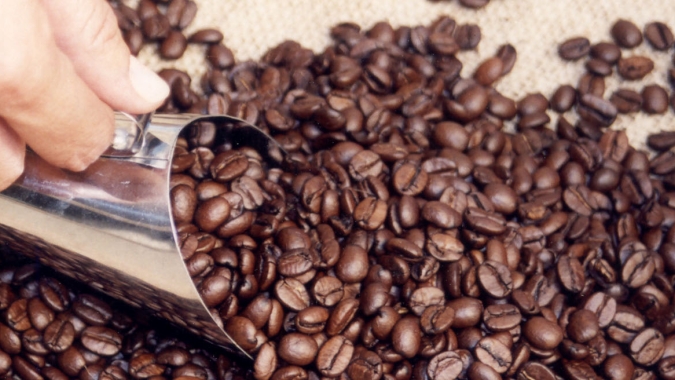 Depois de avançar mais de 5%, café arábica abre com ajustes nos preços em Nova York