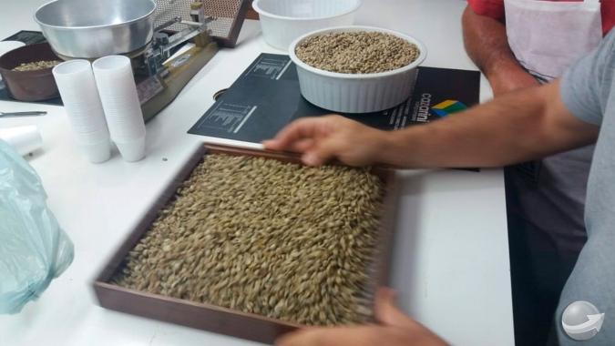 Para Cecafé, exportação de 2020 deve alcançar, no mínimo, mesmo volume de 2019