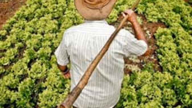 Goiás é o segundo estado no País que mais criou empregos formais na agropecuária em 2020, aponta Secretaria de Agricultura