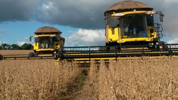 Colheita de soja 22/23 atinge 54% da área no RS, diz Emater; alerta para novos cortes