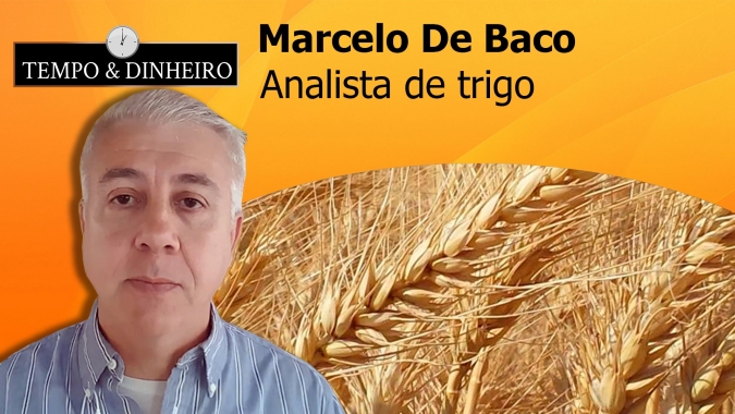 Marcelo De Baco: Colheita de trigo se aproxima do fim; Executivo vê viés de alta: "está no fio da navalha"