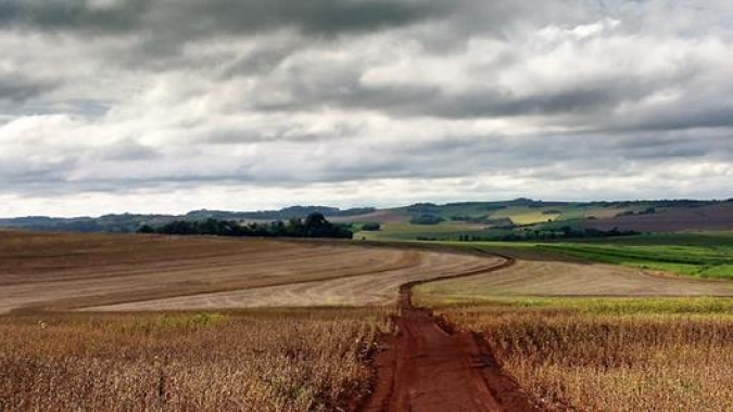 Clima ainda dificulta ações de colheita e plantio do milho no Paraná
