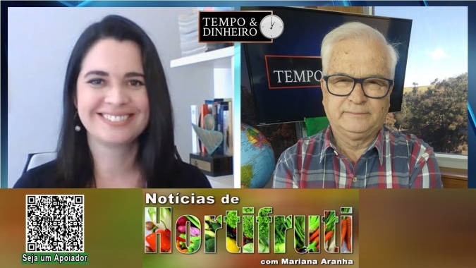 Leve recuo no preços dos ovos. Alta nas votações do mamão formosa