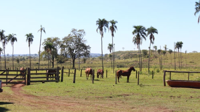 Projeto determina que credor deverá provar que imóvel não é pequena propriedade rural