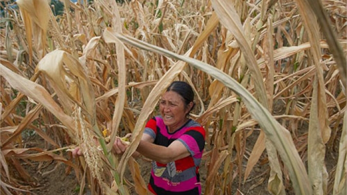 China emite fundos para proteger a agricultura de desastres