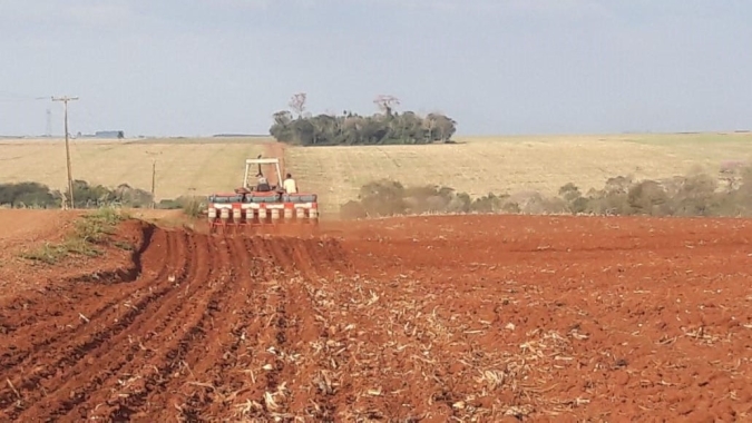 Vazio sanitário da soja no Tocantins começa a partir do dia 1º de julho