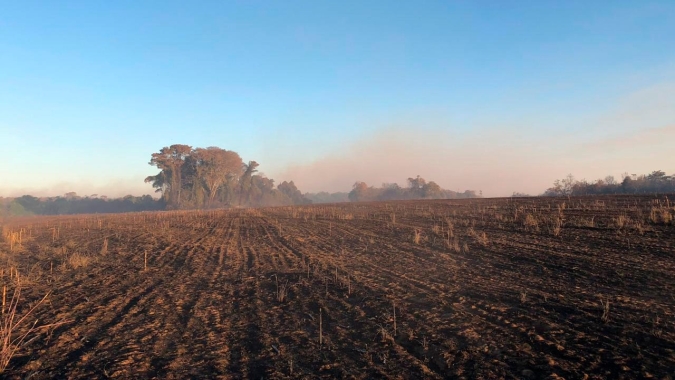 Colheita do milho se encerrou em Rio Verde/GO e preocupação agora é para alto risco de incêndios