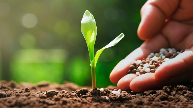 Com agricultura de precisão, produtores rurais alcançam até 29% de aumento na produtividade