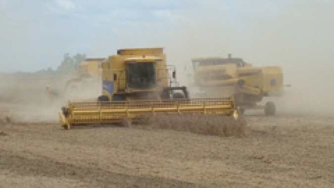 Colheita de soja 2022/23 do Brasil atinge 33%, diz AgRural