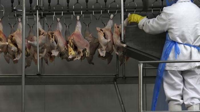 Decreto possibilita a contratação de veterinários privados para inspeção nas indústrias