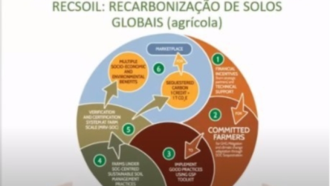 Recarbonização dos solos globais, manejo adequado do solo, porque mitigar é preciso!, por Elaine da Silva