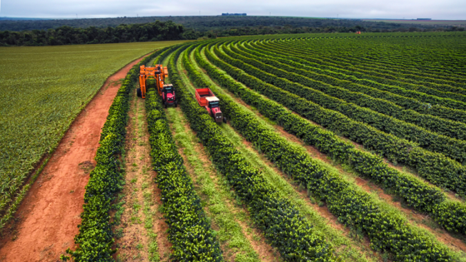 Com ano safra completo, desembolso do crédito rural chega a R$ 400,7 bilhões