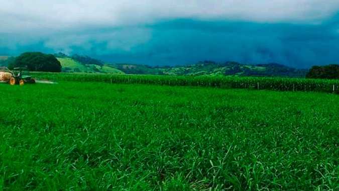 Embrapa Pecuária Sul realiza expedição com foco em plantas forrageiras na região sul