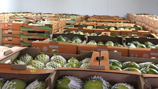 Frutas e produtos cárneos despertam interesse no mercado da irradiação de alimentos