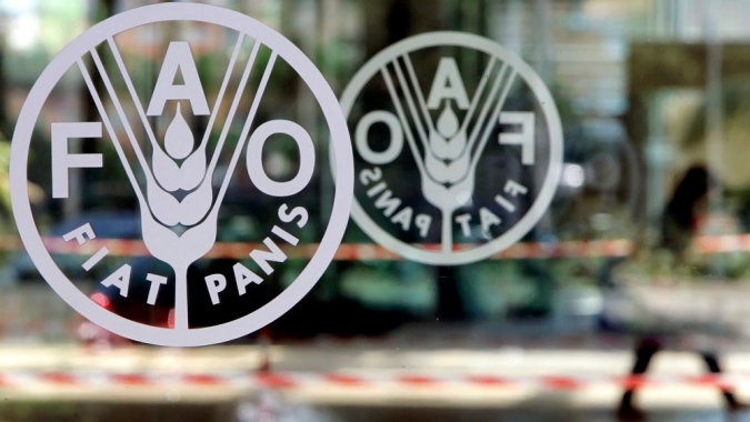 Índice de preços globais de alimentos sobe 5% em setembro ante 2019, diz FAO