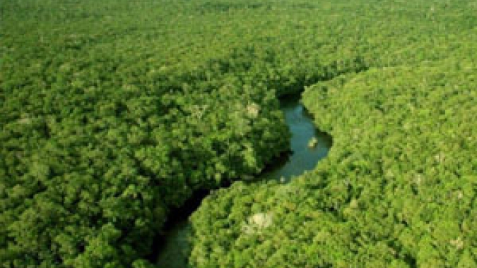 ECB estabelece meta de carbono neutro para biodiesel da BSBios