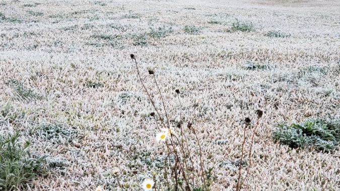 Ar frio: Inmet confirma chances de geadas para o sul de MG na próxima madrugada