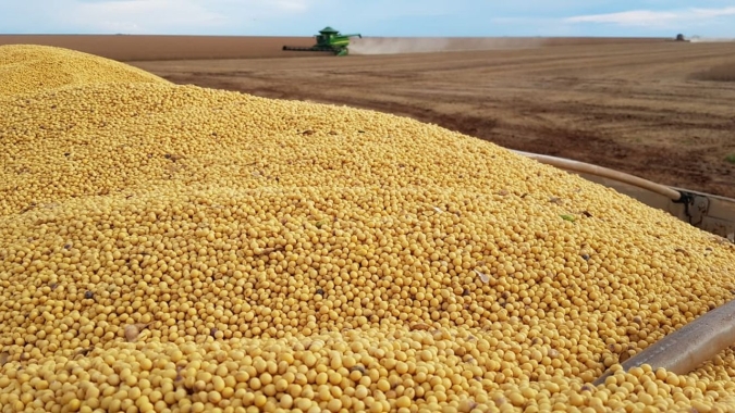 Agronegócio representa mais de 80% das exportações goianas