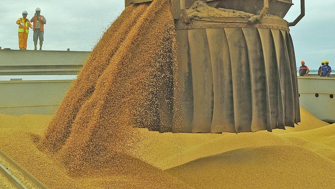 Programação de embarque de soja do Brasil à China aponta queda acentuada este mês