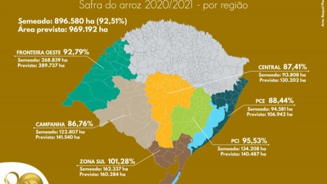 Semeadura do arroz no RS está perto de ser concluída