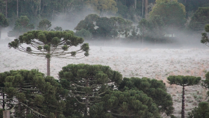 Rio Grande do Sul e Santa Catarina têm alerta para frio, chuvas intensas, ventos fortes e neve