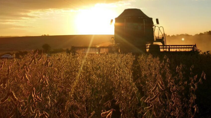 MS tem 13 municípios entre na lista dos 100 mais ricos do agronegócio no Brasil, aponta IBGE