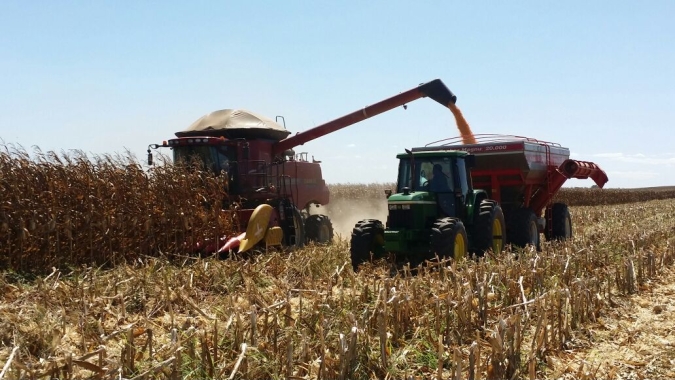 Reta final da colheita do milho avança lentamente no RS com umidade e estratégias dos produtores