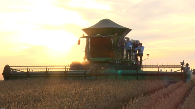 Castro/PR vai começar colheita da soja em 30 dias e espera produtividade maior do que ano passado