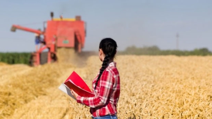 Dia Internacional das Mulheres Rurais relembra importância da presença feminina no campo