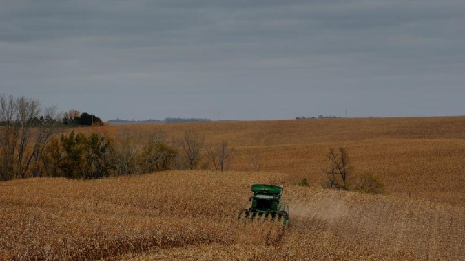 Colheita de milho na Argentina atinge 90,4%; plantio de trigo alcança 91,3%