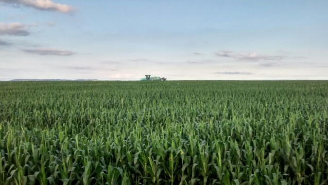 Safra brasileira de soja 2021/22 sinaliza 15º avanço consecutivo de área, diz DATAGRO
