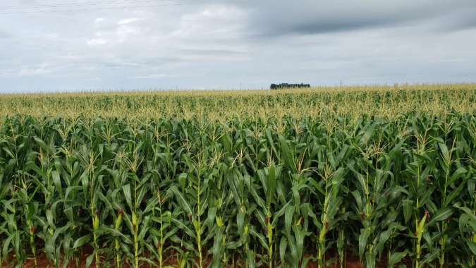 CNA e entidades do setor aprovam plano de ação da Câmara Agro 4.0
