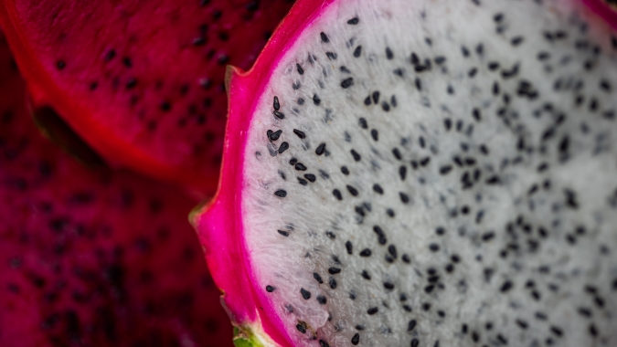 Tecnologia e boas práticas impulsionam cultivo da pitaya no DF