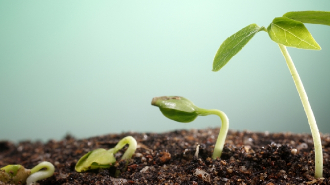 A importância da nutrição do solo para potencializar a produção agrícola