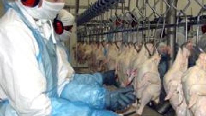 USDA: África do Sul impõe direitos antidumping provisórios contra importações de frango desossado do Brasil Dinamarca Irlanda Polônia e Espanha