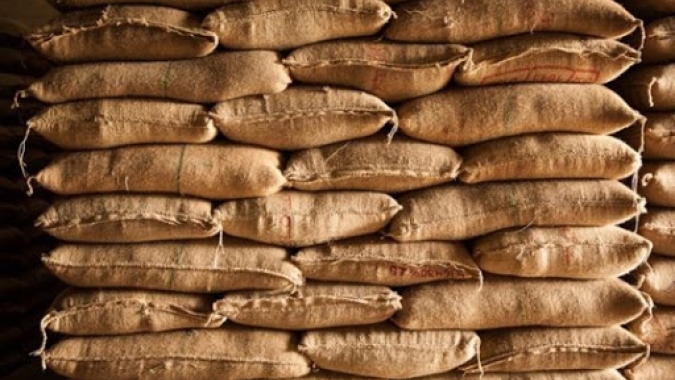 Além da Europa, exportadores de café do Brasil também monitoram possíveis mudanças na importação dos Estados Unidos